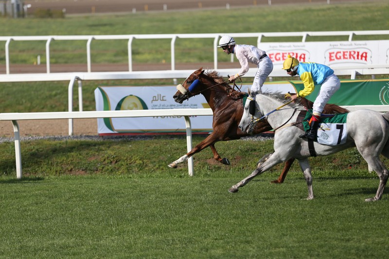 Ziyadd wins Listed Zayed Cup at Capanelle Race Course